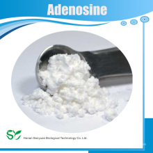 Super 99% Adenosin im Bulk-Angebot